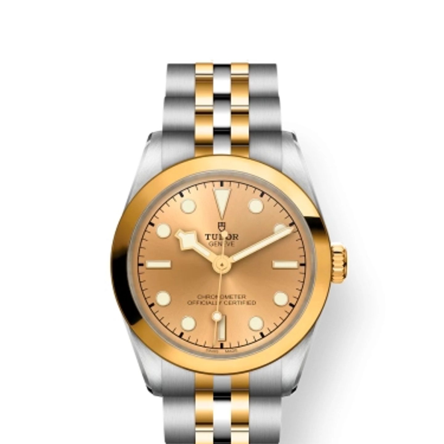 Tudor Black Bay S&G 79603 - (1/1)