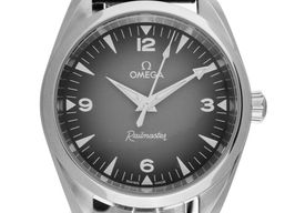 Omega Seamaster Railmaster 235.12.38.20.06.001 (2025) - Grey dial 38 mm Steel case