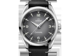Omega Seamaster Railmaster 235.10.38.20.06.001 (2025) - Grijs wijzerplaat 38mm Staal