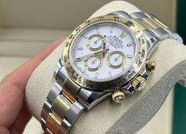 Rolex Daytona 116503 WHITE -