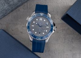 Omega Seamaster Diver 300 M 210.32.42.20.06.001 (Onbekend (willekeurig serienummer)) - Grijs wijzerplaat 42mm Staal