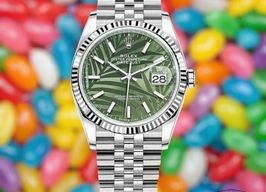 Rolex Datejust 36 126234 -