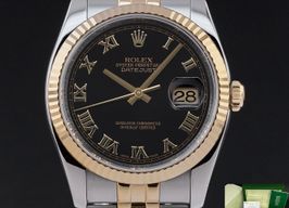 Rolex Datejust 36 116233 -