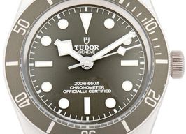 Tudor Black Bay Fifty-Eight 79010SG (2025) - Grey dial 39 mm Silver case