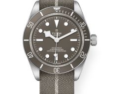 Tudor Black Bay Fifty-Eight 79010SG (2026) - Grey dial 39 mm Silver case