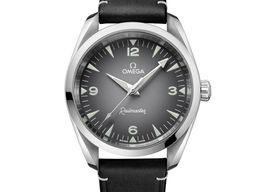 Omega Seamaster Railmaster 235.12.38.20.06.001 (2025) - Grey dial 38 mm Steel case