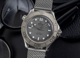Omega Seamaster Diver 300 M 210.30.42.20.06.002 (Unknown (random serial)) - Grey dial 42 mm Steel case