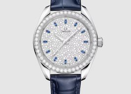 Omega Seamaster Aqua Terra 220.58.34.20.99.007 -