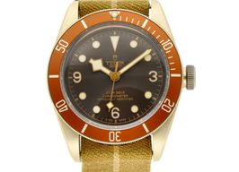 Tudor Black Bay Bronze 79250BM (2017) - Brown dial 43 mm Bronze case