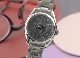 Omega Seamaster Aqua Terra 231.10.30.61.06.001 (Unknown (random serial)) - Grey dial 30 mm Steel case