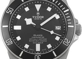 Tudor Pelagos 25600TN -