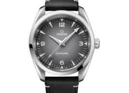 Omega Seamaster Railmaster 235.12.38.20.06.001 (2026) - 38mm Staal
