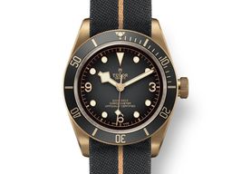 Tudor Black Bay Bronze 79250BA (2025) - Grey dial 43 mm Bronze case