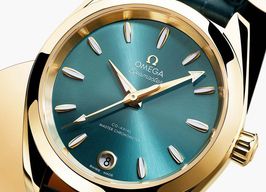 Omega Seamaster Aqua Terra 220.53.34.20.10.001 -