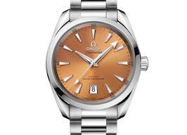 Omega Seamaster Aqua Terra 220.10.38.20.12.001 -