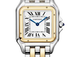Cartier Panthère W2PN0019 (2026) - White dial 37 mm Gold/Steel case