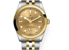 Tudor Black Bay S&G 79603 -