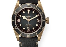 Tudor Black Bay Bronze 79250BA (2026) - Grey dial 43 mm Bronze case