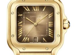 Cartier Santos WGSA0095 (2026) - Goud wijzerplaat 40mm Geelgoud