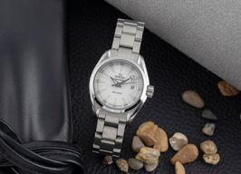 Omega Seamaster Aqua Terra 231.10.30.60.02.001 (Unknown (random serial)) - Silver dial 30 mm Steel case