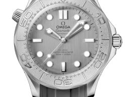 Omega Seamaster Diver 300 M 210.32.42.20.06.002 (2026) - Grijs wijzerplaat 42mm Staal