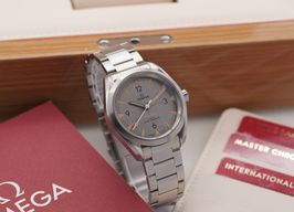 Omega Seamaster Railmaster 220.10.40.20.06.001 (2021) - Grijs wijzerplaat 40mm Staal