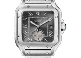 Cartier Santos WSSA0076 -