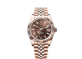 Rolex Sky-Dweller 336935 (2025) - Brown dial 42 mm Rose Gold case