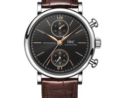 IWC Portofino Chronograph IW391404 -