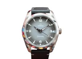 Omega Seamaster Railmaster 235.12.38.20.06.001 -