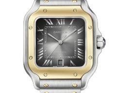 Cartier Santos W2SA0030 -