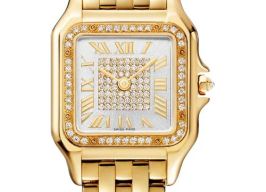 Cartier Panthère WJPN0079 (2026) - Zilver wijzerplaat 27mm Geelgoud