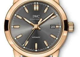 IWC Ingenieur Automatic IW357003 (2023) - Grey dial 40 mm Red Gold case