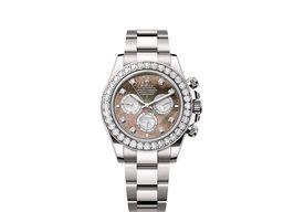 Rolex Daytona 126579RBR (2025) - 40 mm White Gold case