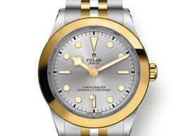 Tudor Black Bay S&G 79663-0002 -