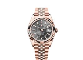 Rolex Sky-Dweller 336935 (2025) - 42 mm Rose Gold case