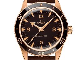 Omega Seamaster 300 234.92.41.21.10.001 (2025) - Bruin wijzerplaat 41mm Roségoud