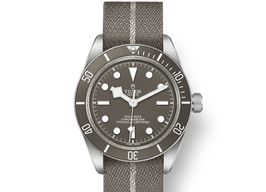 Tudor Black Bay Fifty-Eight 79010SG (2025) - Grey dial 39 mm Silver case