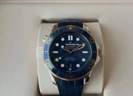 Omega Seamaster Diver 300 M 210.22.42.20.03.001 -
