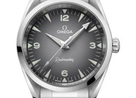 Omega Seamaster Railmaster 235.10.38.20.06.001 (2026) - Grijs wijzerplaat 38mm Staal
