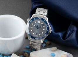 Omega Seamaster Diver 300 M 210.30.42.20.06.001 (Onbekend (willekeurig serienummer)) - Grijs wijzerplaat 42mm Staal