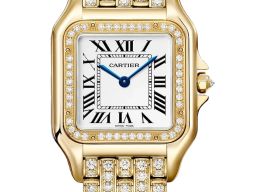 Cartier Panthère WJPN0060 (2026) - Zilver wijzerplaat 37mm Geelgoud