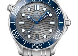 Omega Seamaster Diver 300 M 210.30.42.20.06.001 (2026) - Grijs wijzerplaat 42mm Staal