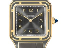 Cartier Santos Dumont WGSA0097 (2026) - Grijs wijzerplaat 31mm Geelgoud