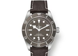Tudor Black Bay Fifty-Eight 79010SG (2025) - Grey dial 39 mm Silver case