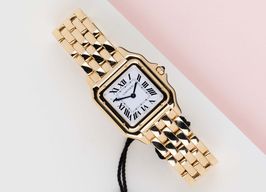 Cartier Panthère WGPN0045 (2025) - Silver dial 27 mm Yellow Gold case