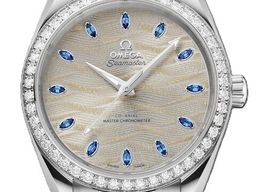 Omega Seamaster Aqua Terra 220.55.38.20.99.003 (2026) - Silver dial 38 mm White Gold case