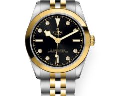 Tudor Black Bay S&G 79603 -