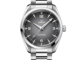 Omega Seamaster Railmaster 235.10.38.20.06.001 (2025) - Grey dial 38 mm Steel case
