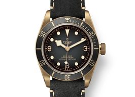 Tudor Black Bay Bronze 79250BA (2025) - Grey dial 43 mm Bronze case